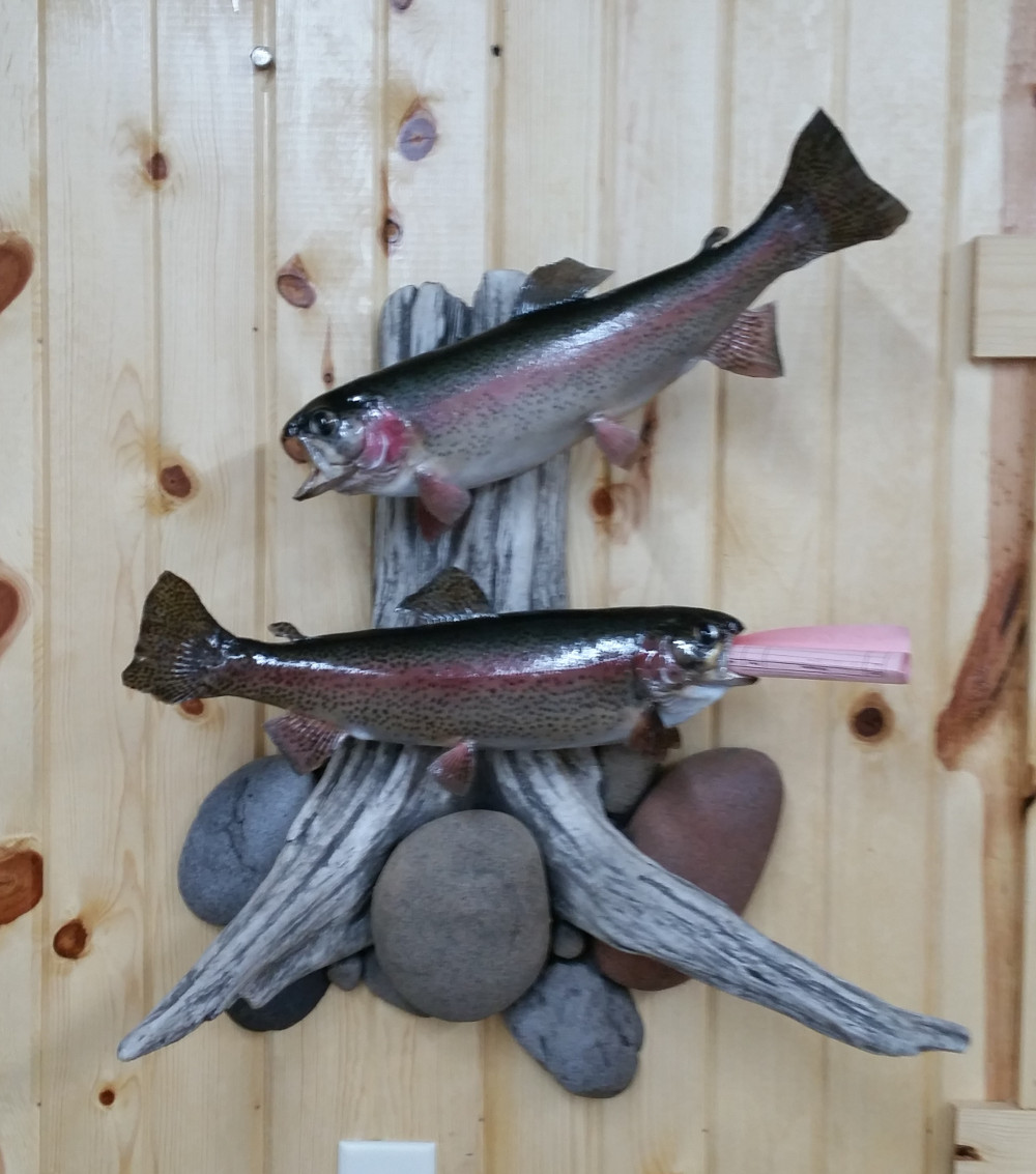 image showing fish mount