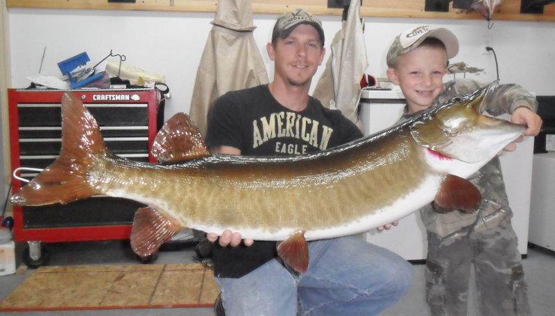 image showing fish mount