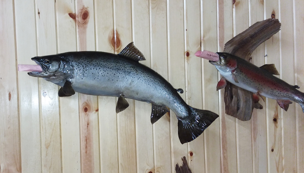 image showing fish mount